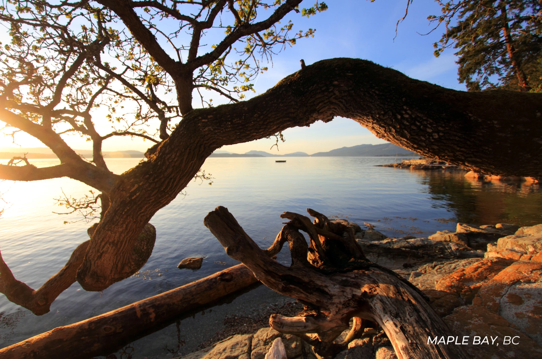 beach at sunset in Maple Bay